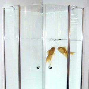 Discover something new! Discover something new!